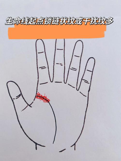 人纹锁链纹比较重代表