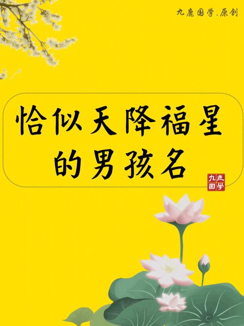 带添字的男孩名字