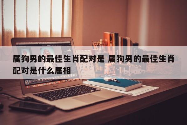 男属狗的和什么属相最配,属狗的和什么属相最配
