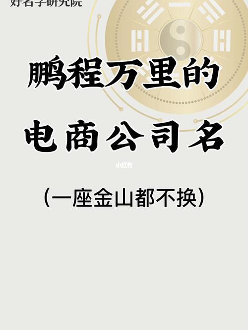 开个电商公司取什么名