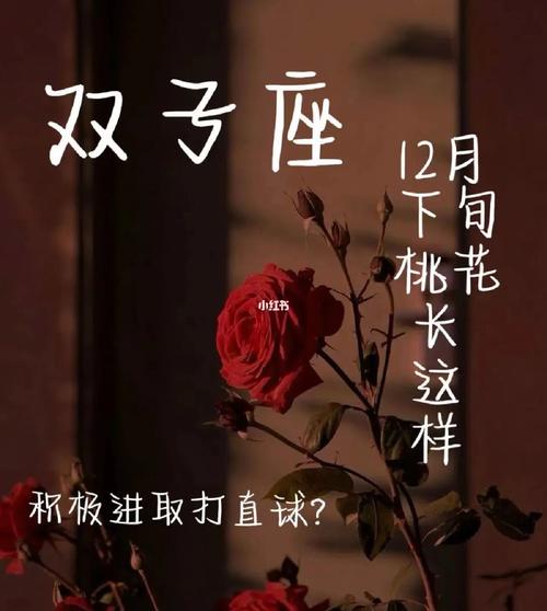 2021年双子座的正桃花在哪里