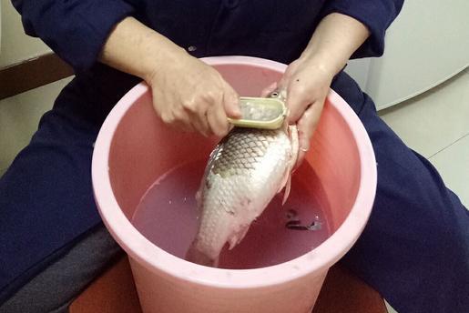 梦见洗鱼是什么意思