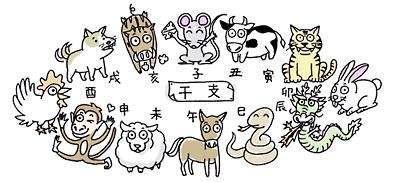 卯是什么生肖