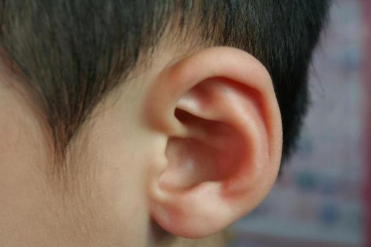 面相极好的小孩有哪些特征