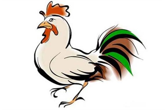 属鸡会如何运用自己的资金
