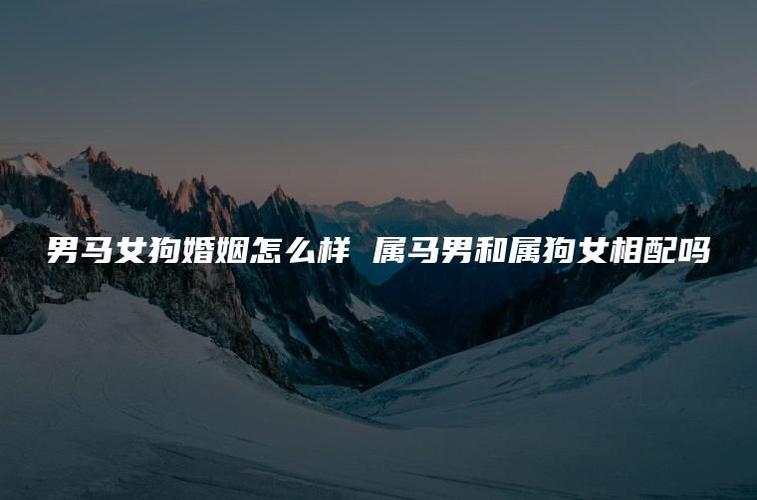 女狗与男马结婚好不好？属马的人怎么样？