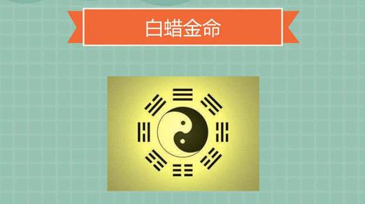 白蜡金的幸运数字