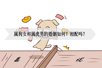 属虎和属狗的婚配如何