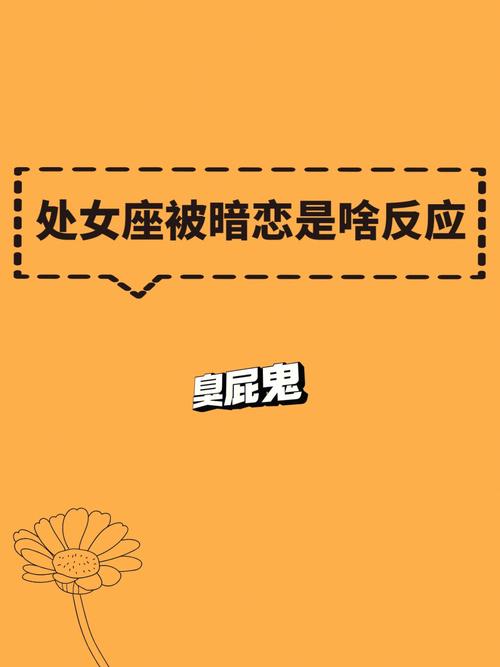 处女座被抢劫的不同反应