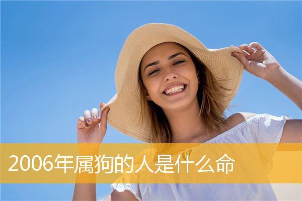 2006年属狗人一生命运