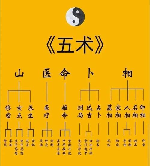 紫薇剖析交通事故处理心态