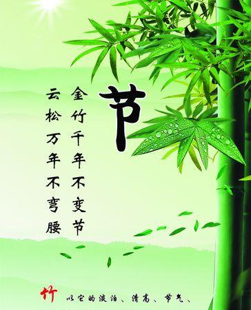 竹子的象征意义如何