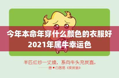 今年属牛的穿什么颜色最好