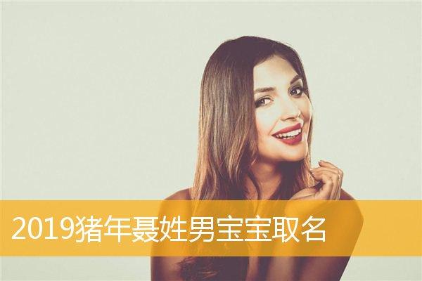 聂姓猪年男宝宝名字