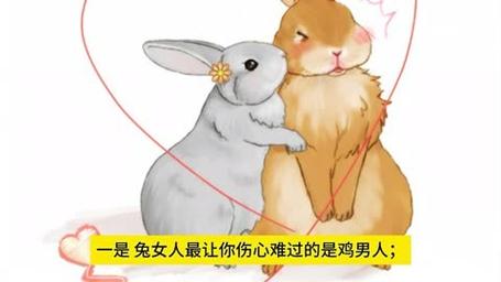 遇到一点小事就容易伤感的生肖