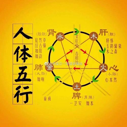 健康的八字特点,命理健康知识