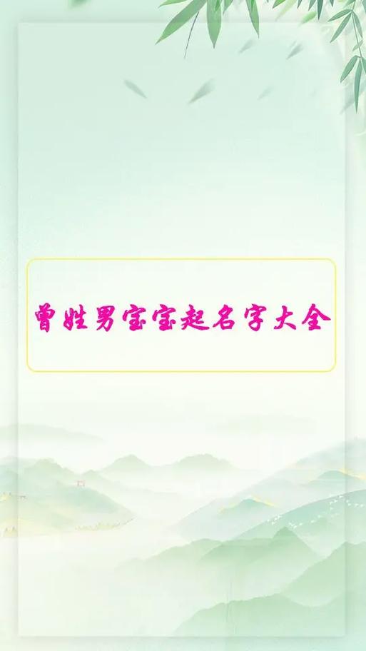 12月出生曾姓男宝宝名字