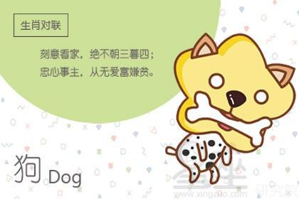 属狗喜欢一个人会中途放弃吗