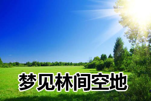 梦见绿树间的林间空地