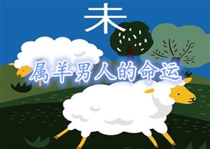 属羊男睡了你就会不理吗