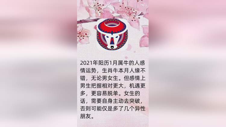 属牛人2021年全年感情