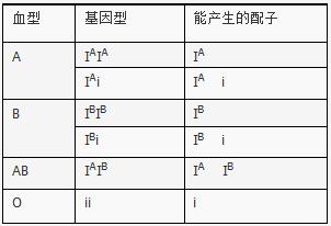 血型推算公式i