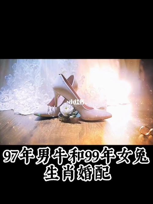 兔跟牛属相婚配如何
