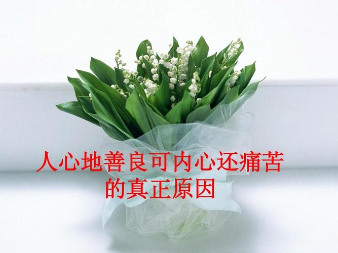 什么样的八字心最善良,心地特别善良八字