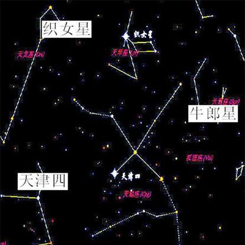 牛郎星属于什么星座