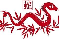 属蛇生活在战争年代会做什么