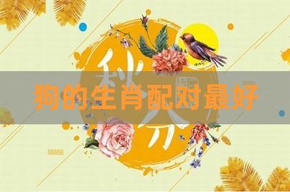 属狗人的生肖配对和属相婚配