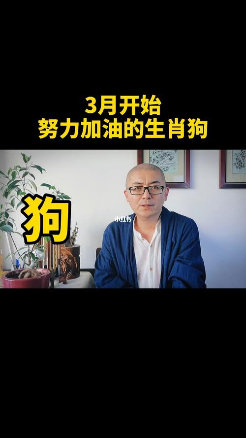 生肖狗努力奋斗一生是为了什么