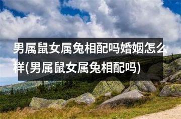 男鼠女兔婚配怎么样,他们的婚姻幸福吗?