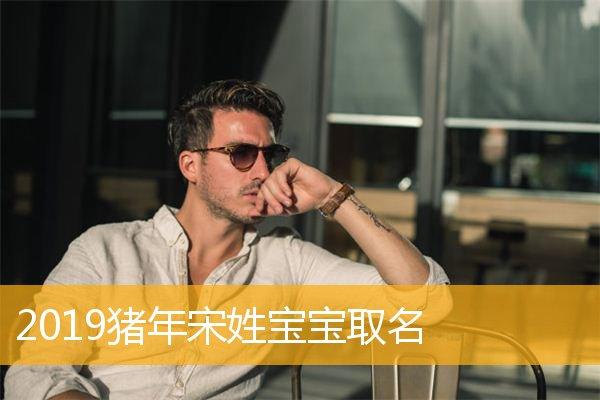 宋姓猪年男宝宝名字