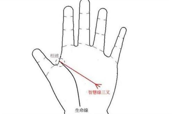 智慧线前面粗后面细
