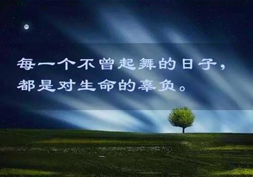 事业挫败,属马应该怎样重整旗鼓