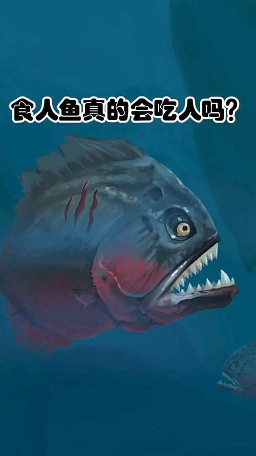 梦见会吃人的鱼