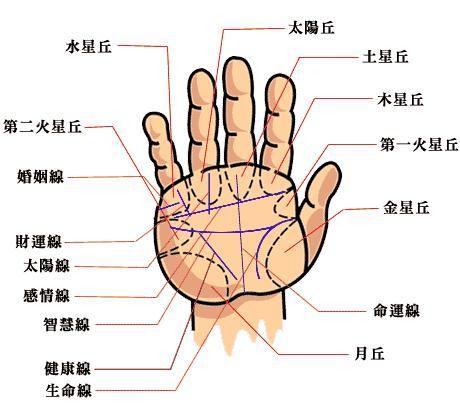 从手相看你的应变能力