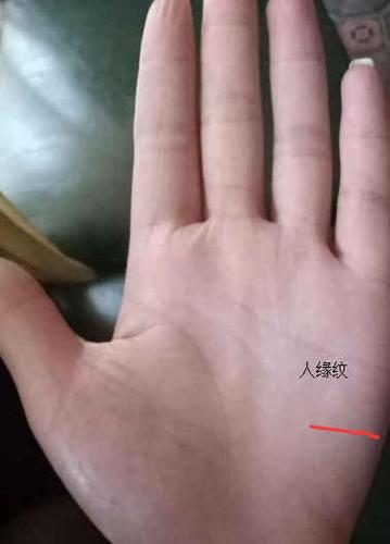 魅力女人的手相