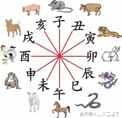十二生肖的最好出生时辰解析:鼠-牛-虎