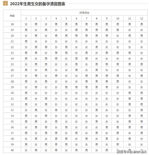 2022年几月生儿子