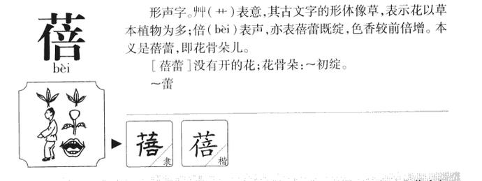 蓓和什么字组成名字