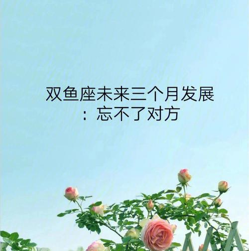 双鱼男最忘不了的感情