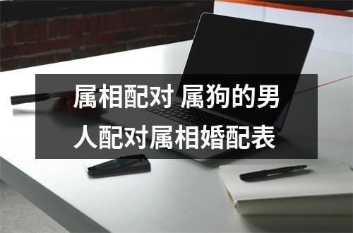 属狗女生绝对不会爱上什么男人