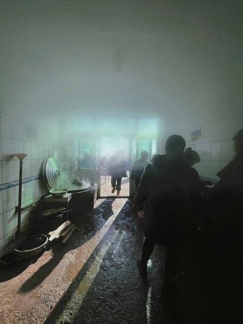 梦见过年杀猪是什么意思