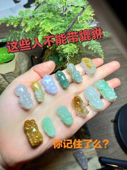 6种人千万不能带个貔貅