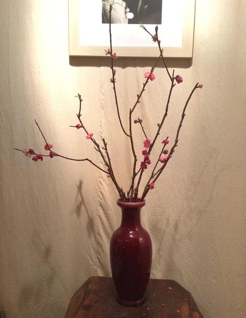 家里放桃花的禁忌是什么