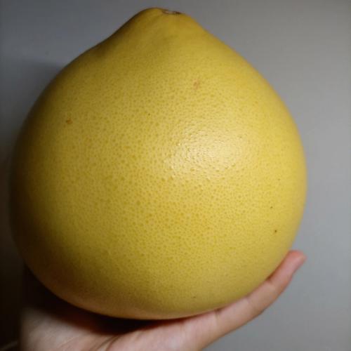 梦见买柚子