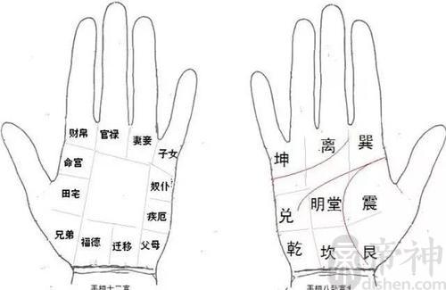 手相子女线长短不同分别代表什么意思?