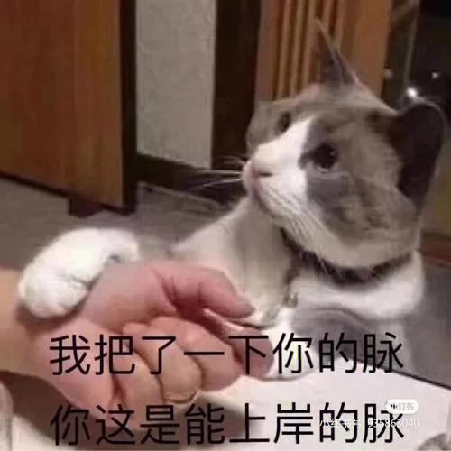 受到老天保佑一生平安的男孩名